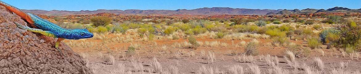 Northern Cape Accommodation footer banner